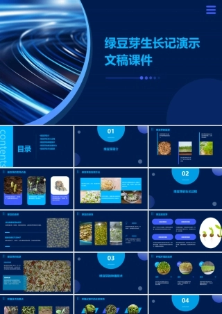 绿豆芽生长记演示文稿课件
