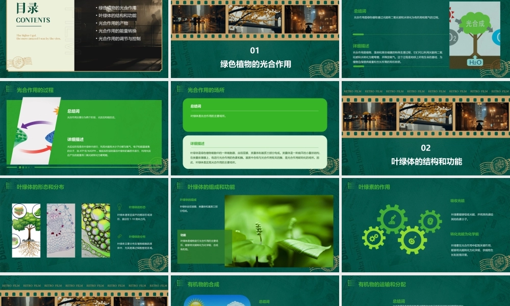 绿色植物如何获取能量课件