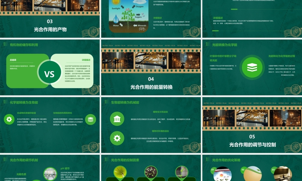 绿色植物如何获取能量课件