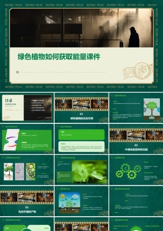 绿色植物如何获取能量课件