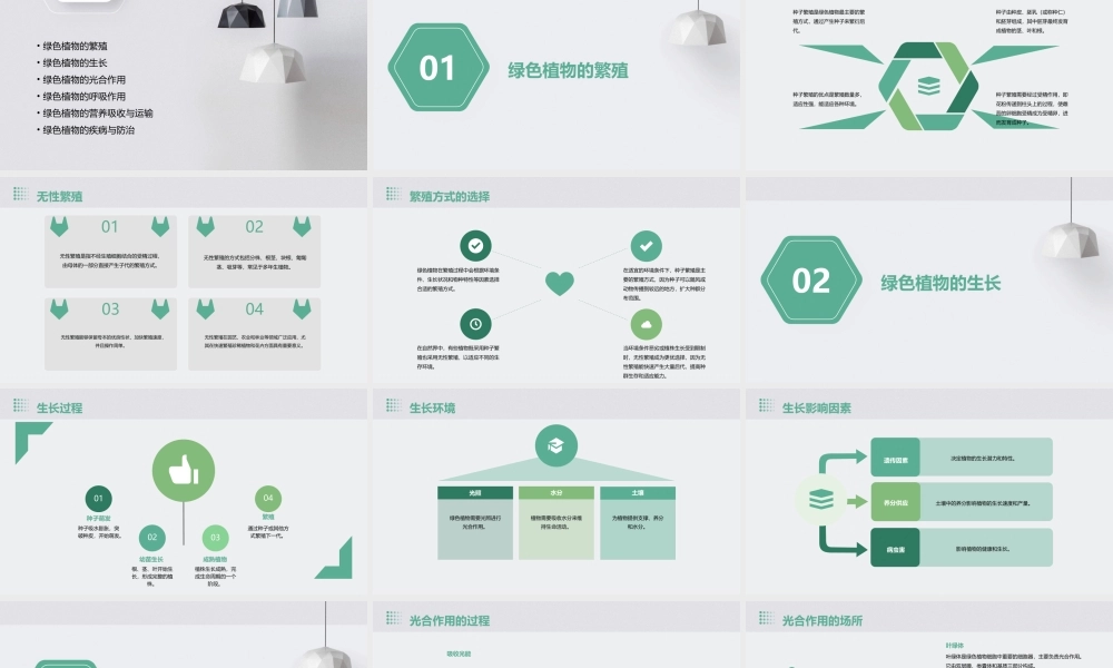 绿色植物的一生总复习吐血制作课件
