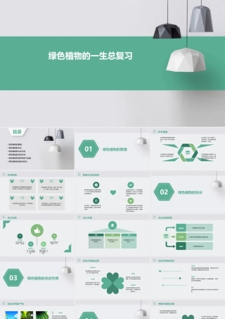 绿色植物的一生总复习吐血制作课件