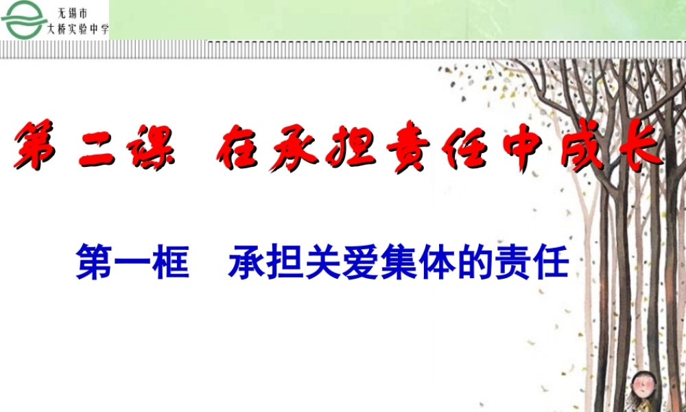九年级政治承担关爱集体的责任课件