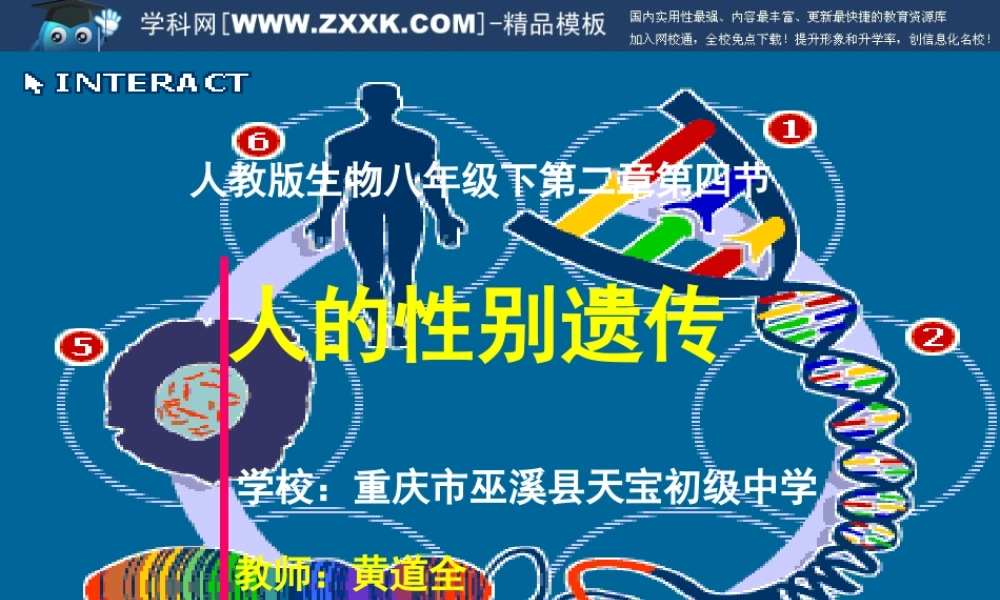 八年级生物下 第二章 第四节 人的性别遗传课件人教版 课件