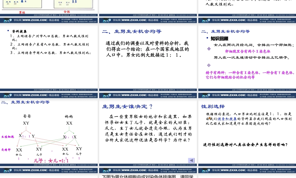 八年级生物下 第二章 第四节 人的性别遗传课件人教版 课件