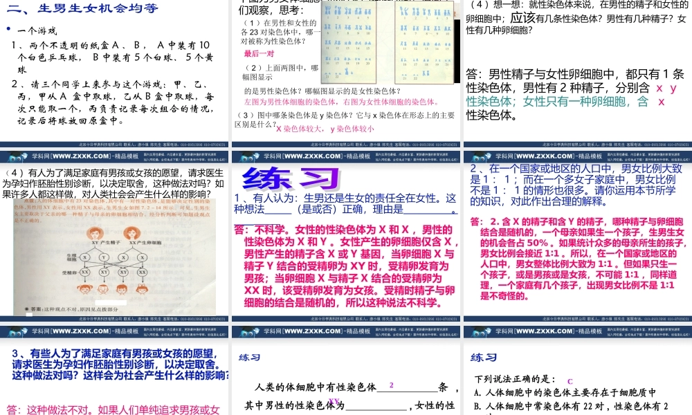 八年级生物下 第二章 第四节 人的性别遗传课件人教版 课件