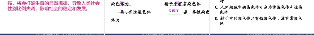 八年级生物下 第二章 第四节 人的性别遗传课件人教版 课件
