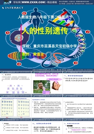 八年级生物下 第二章 第四节 人的性别遗传课件人教版 课件