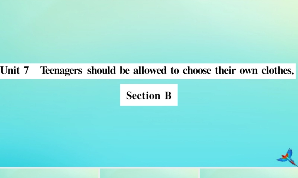 九年级英语全册 Unit 7 Teenagers should be allowed to choose their own clothes Section B习题课件 (新版)人教新目标版 课件