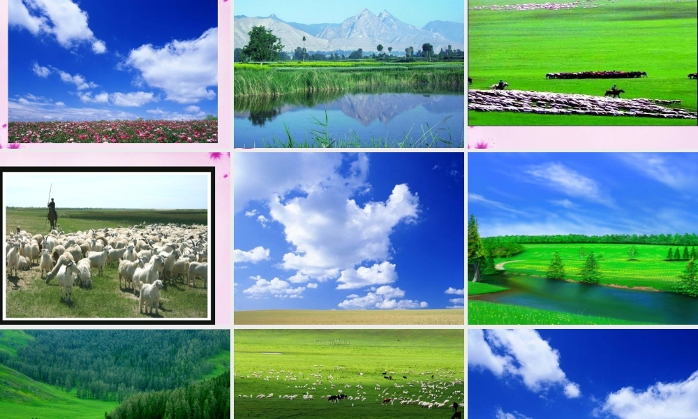 八年级语文上册 9(敕勒歌)教学课件 北师大版 课件