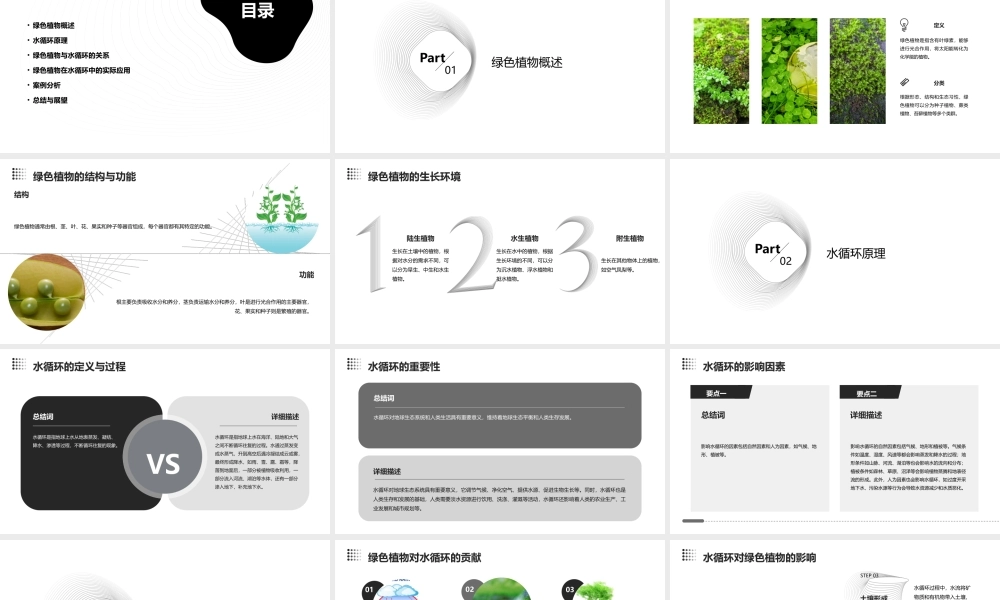 绿色植物和水循环课件