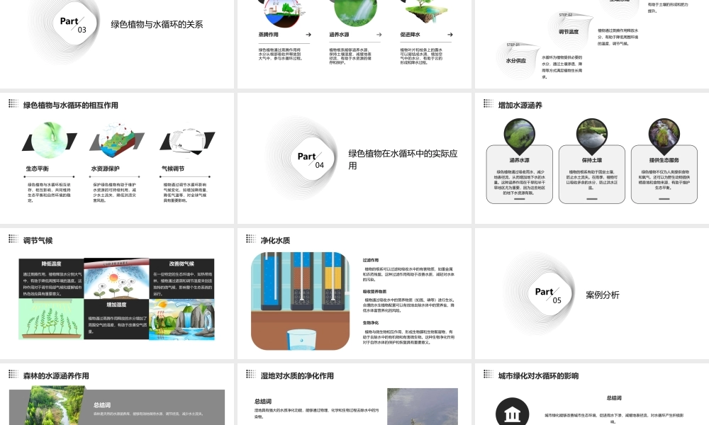 绿色植物和水循环课件