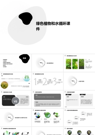 绿色植物和水循环课件