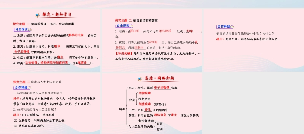 八年级生物上册 第五单元 第五章 病毒课件 (新版)新人教版 课件