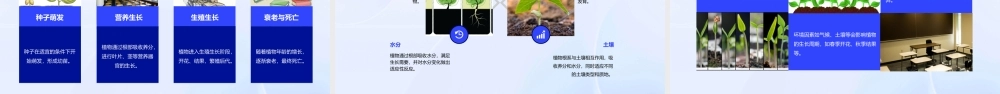 绿色开花植物一生课件