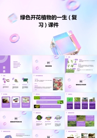绿色开花植物的一生(复习)课件