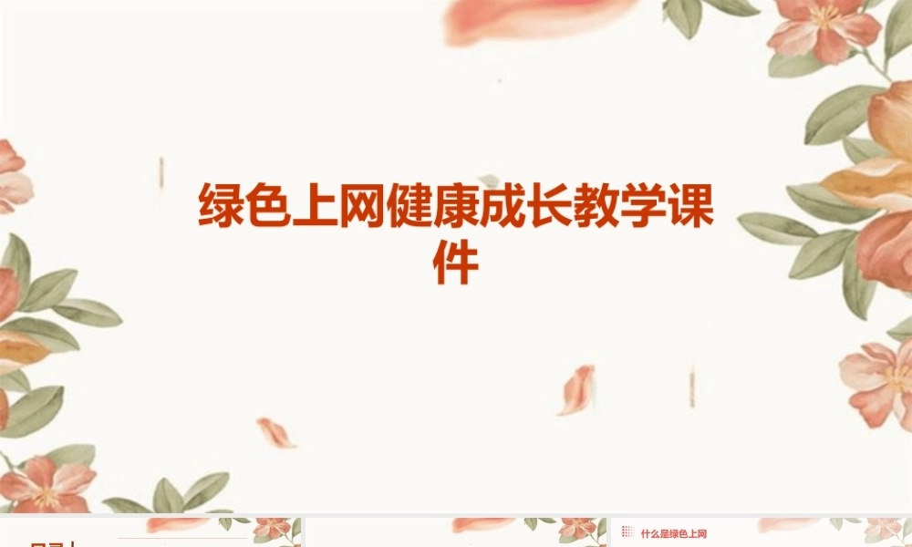 绿色上网健康成长教学课件