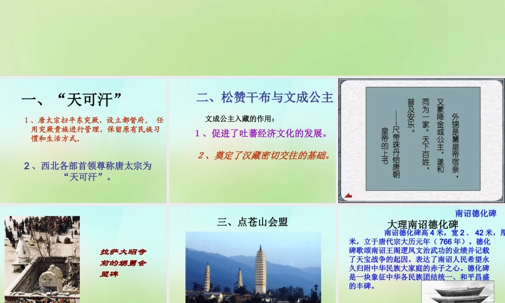 中学七年级历史下册 第5课 和同为一家课件 新人教版