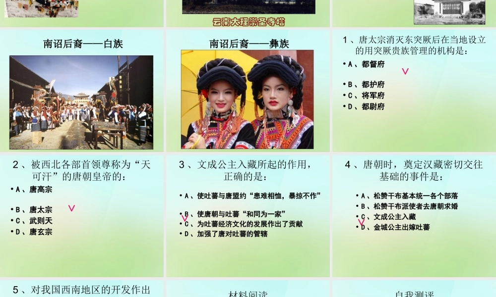 中学七年级历史下册 第5课 和同为一家课件 新人教版