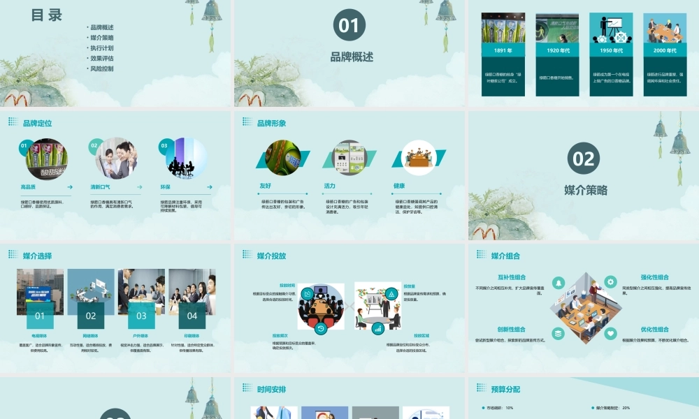 绿箭品牌媒介策略案课件