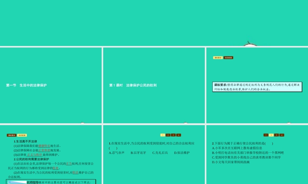 八年级政治上册 第五单元 生活在法律的保护中 第一节 生活中的法律保护 第1框 法律保护公民的权利课件 湘教版 课件