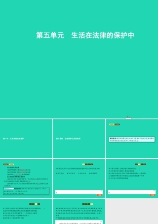 八年级政治上册 第五单元 生活在法律的保护中 第一节 生活中的法律保护 第1框 法律保护公民的权利课件 湘教版 课件
