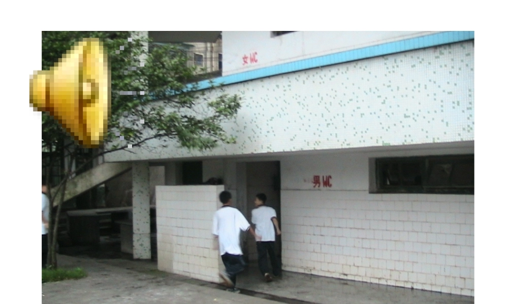 七年级生物人体内废物的排出课件