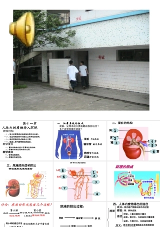 七年级生物人体内废物的排出课件