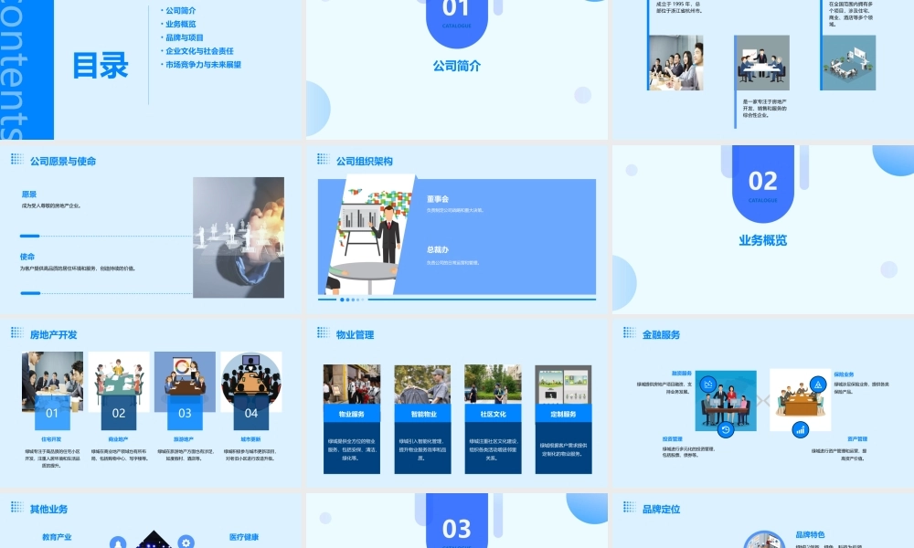 绿城房地产集团课件