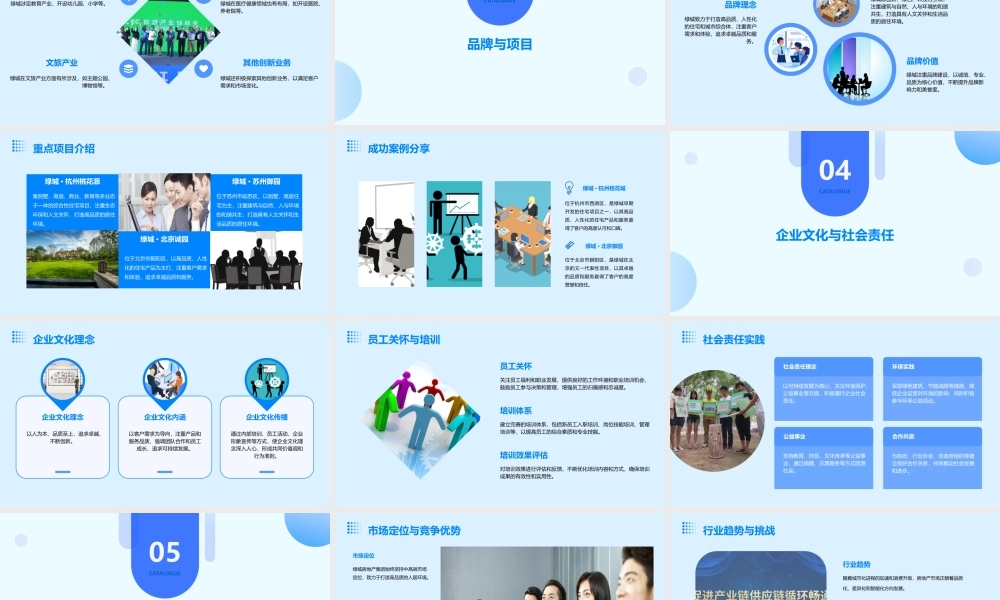 绿城房地产集团课件