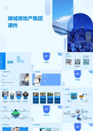 绿城房地产集团课件