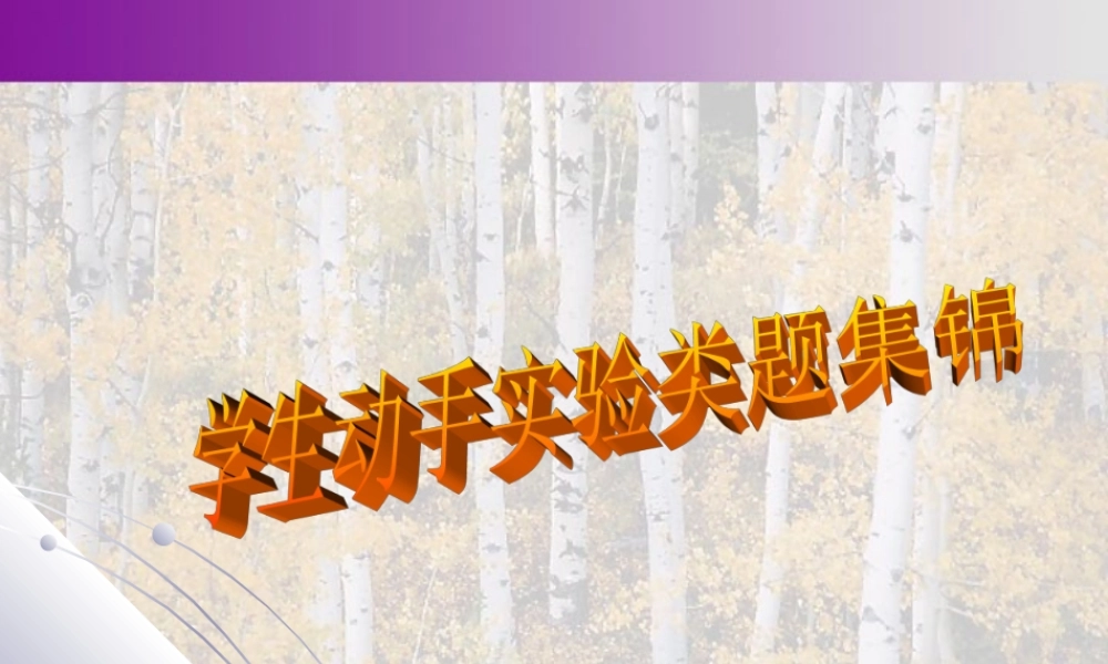 中考数学专题四学生动手实验类型题集锦 试题