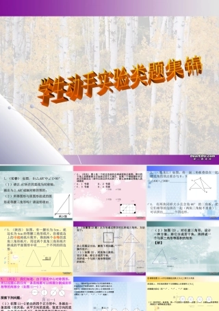 中考数学专题四学生动手实验类型题集锦 试题