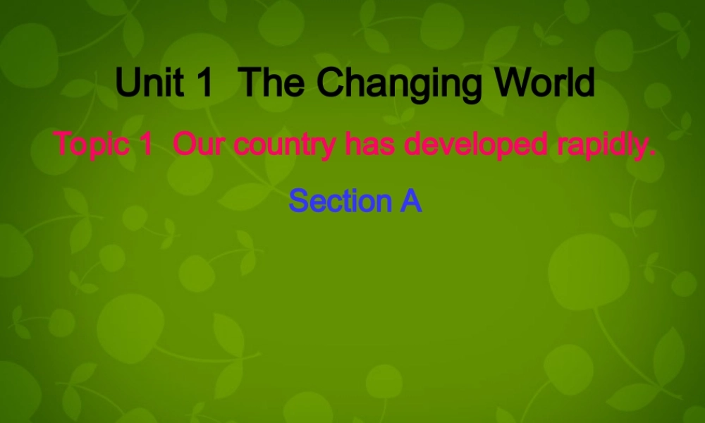 九年级英语上册 Unit 1 Topic 1 Our country has developed rapidly Section A课件 (新版)仁爱版 课件