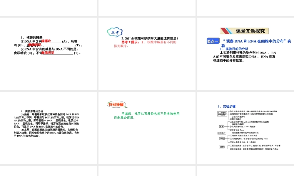 第二章__第3节__遗传信息的携带者——核酸
