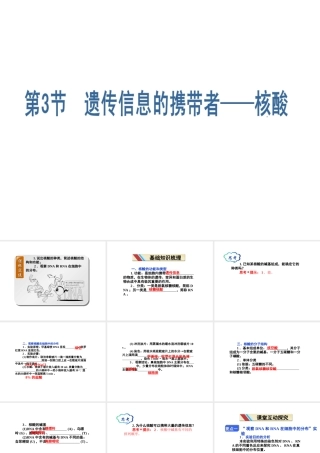 第二章__第3节__遗传信息的携带者——核酸