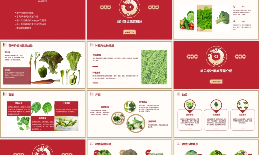 绿叶菜类蔬菜课件