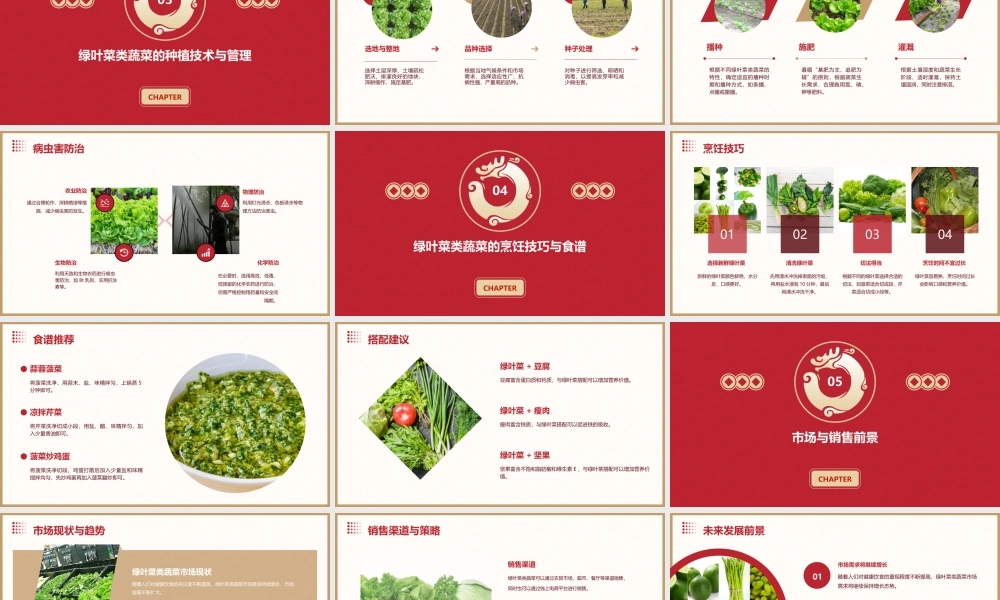 绿叶菜类蔬菜课件