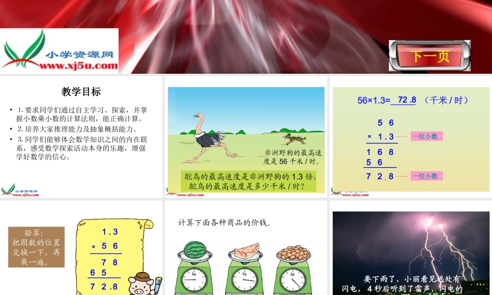 人教新课标数学五年级上册《小数乘小数5》PPT课件