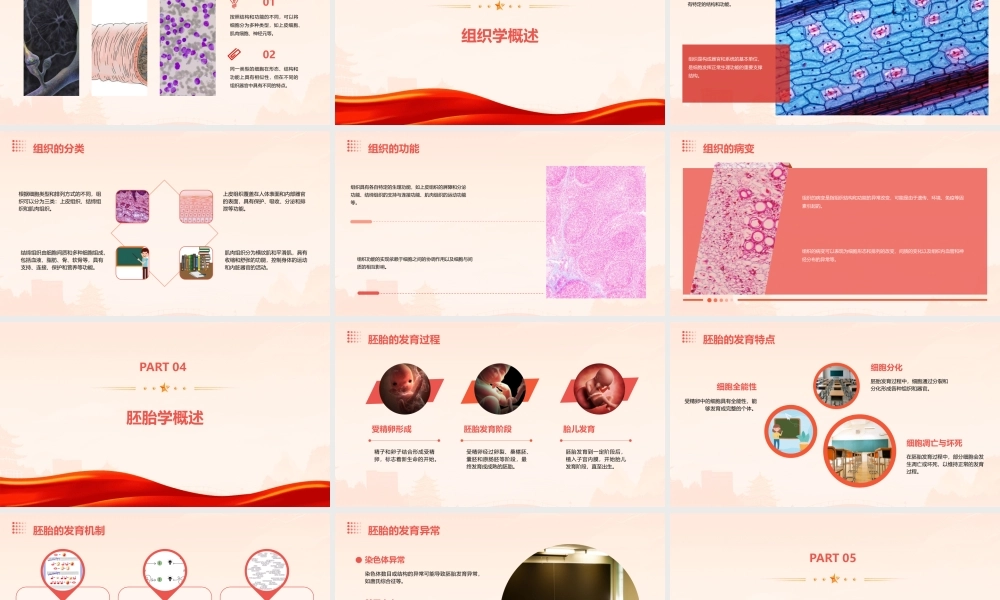 绪论及细胞组织胚胎学介绍课件