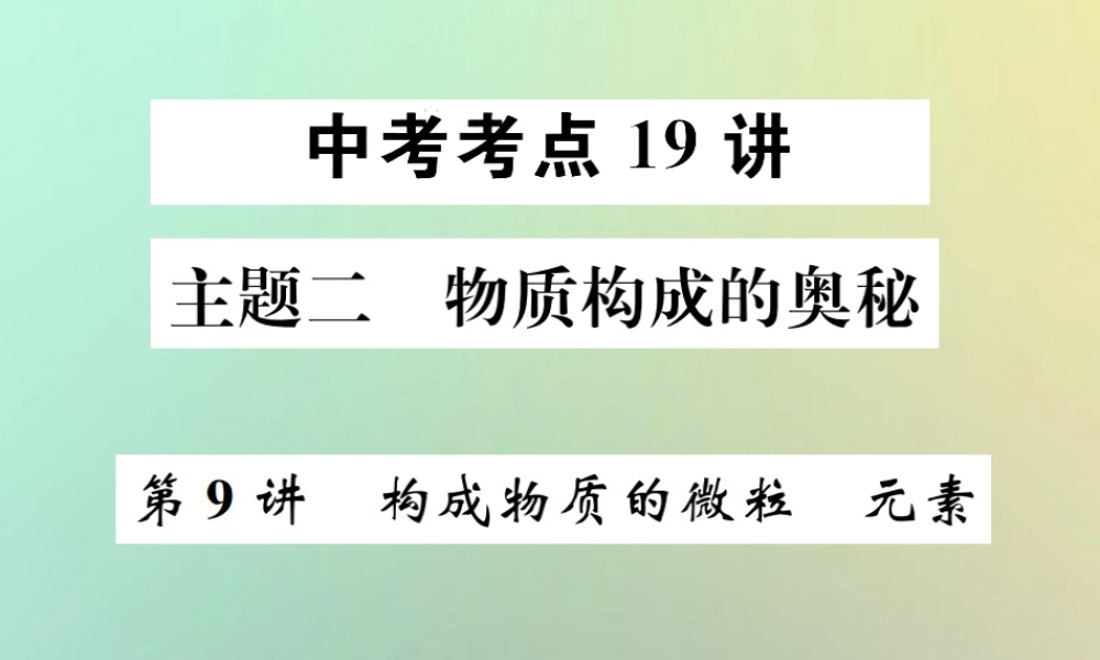 中考化学复习 主题二 物质构成的奥秘 第9讲 构成物质的微粒 元素课件