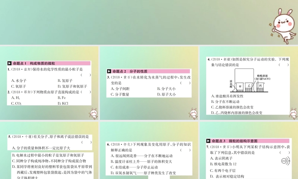 中考化学复习 主题二 物质构成的奥秘 第9讲 构成物质的微粒 元素课件