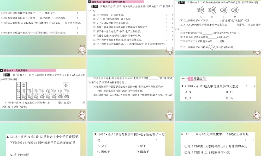 中考化学复习 主题二 物质构成的奥秘 第9讲 构成物质的微粒 元素课件