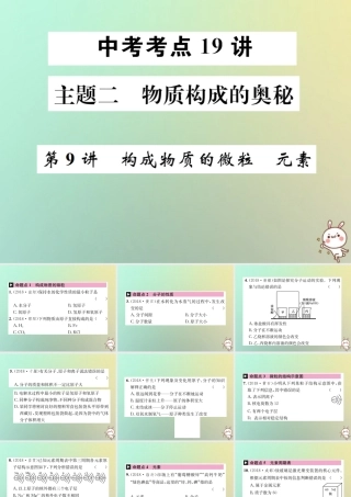 中考化学复习 主题二 物质构成的奥秘 第9讲 构成物质的微粒 元素课件