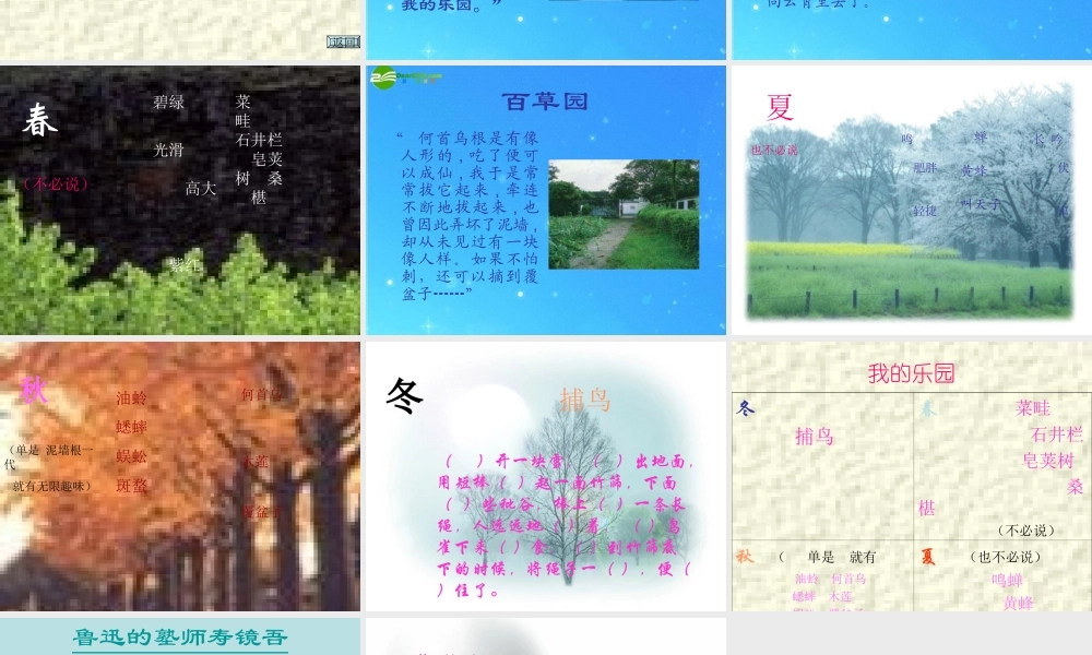 七年级语文上册 从百草园到三味书屋课件 人教新课标版 课件