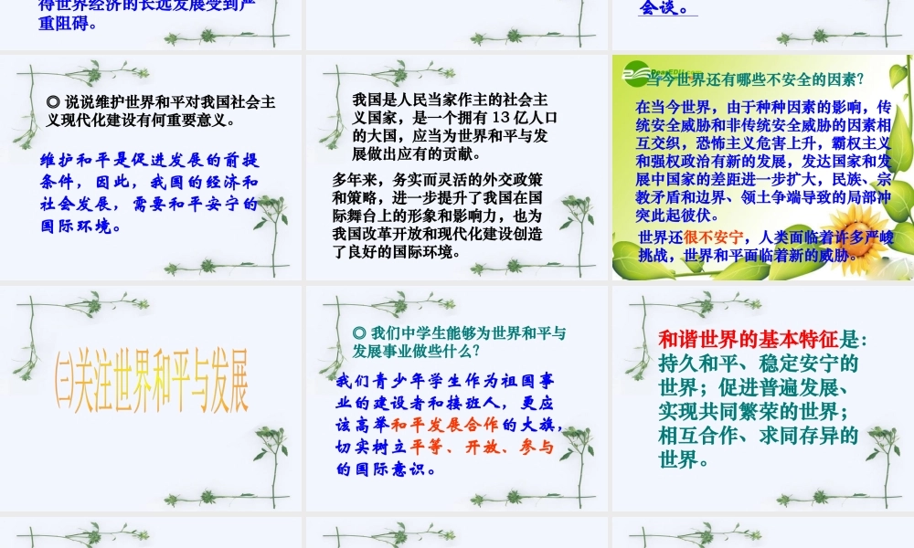 九年级政治：第十一课(胸怀全球 迎接挑战)第三框课件(苏教版) 课件