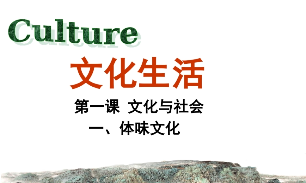 高中政治必修三课件：体味文化