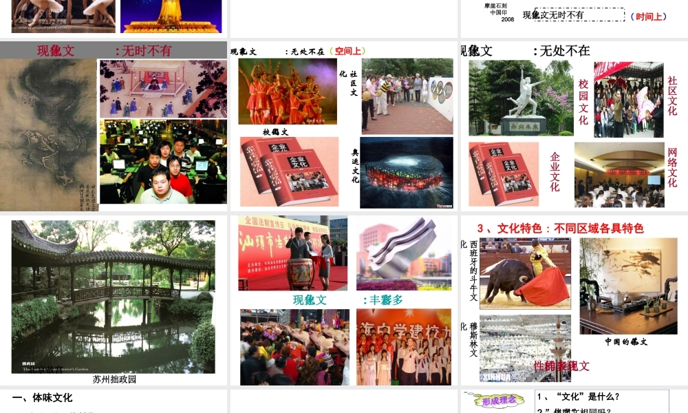 高中政治必修三课件：体味文化