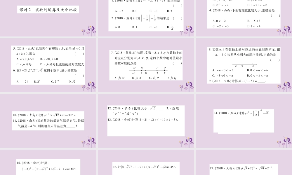 中考数学复习 第一轮 考点系统复习 第1章 数与式 第1节 实数习题课件