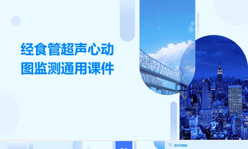 经食管超声心动图监测通用课件